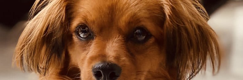 Lu_jimenez00's profile banner image