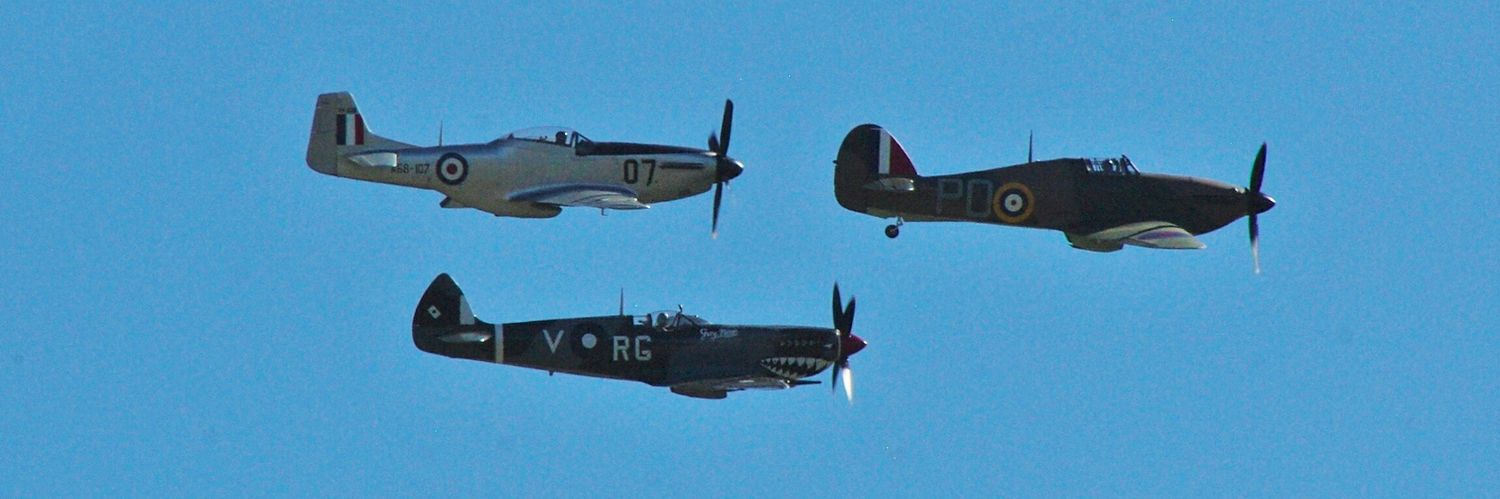 Peter F Williams banner