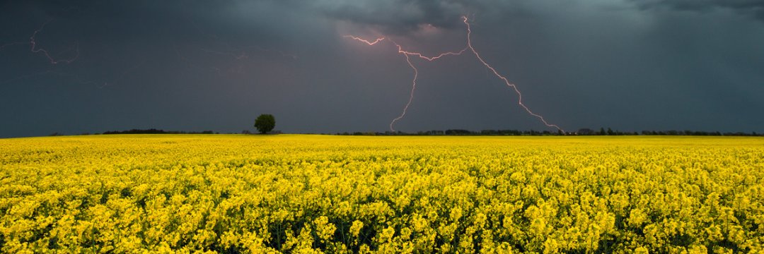 ДмитроL 🇺🇦 banner