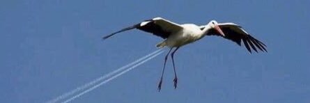 BigMac 🎧🤓Between Projects banner