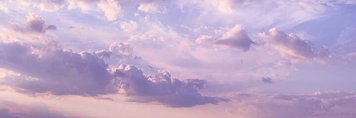 nlmcnd's profile banner image