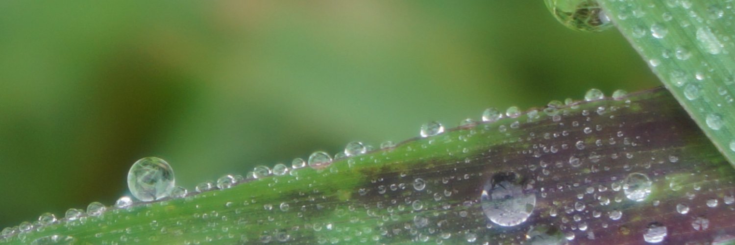 SoNPhotography's profile banner image
