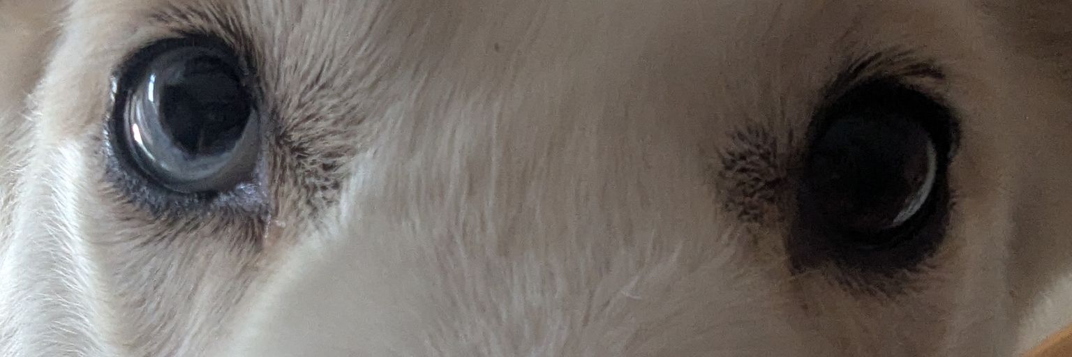 jons_nl's profile banner image