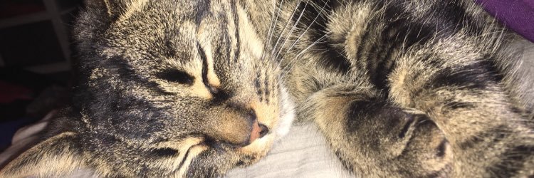 nickole481's profile banner image