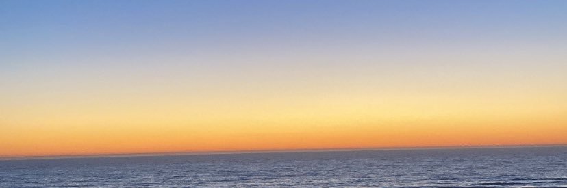 Chloé banner
