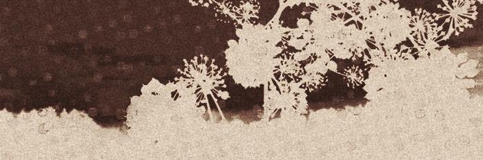 千　花鶏　/　せん　あとり banner