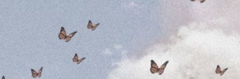 m banner