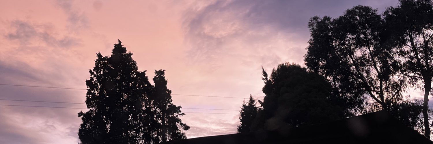 Rosaoboe's profile banner image