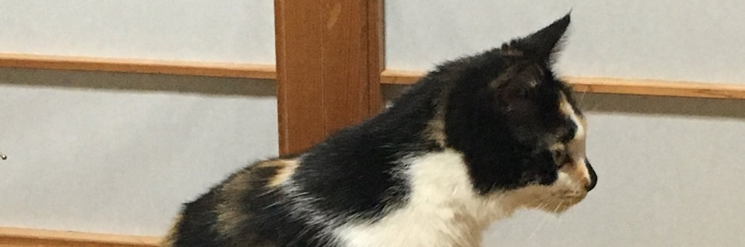 おここ banner