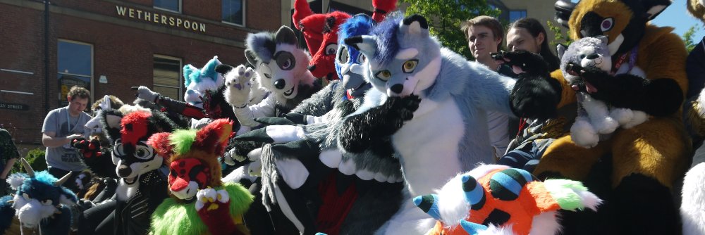 SheffieldFurs's profile banner image