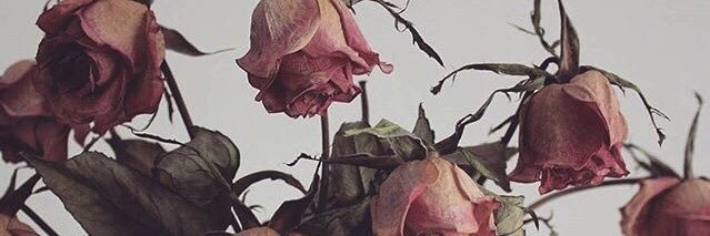 LMBT_'s profile banner image
