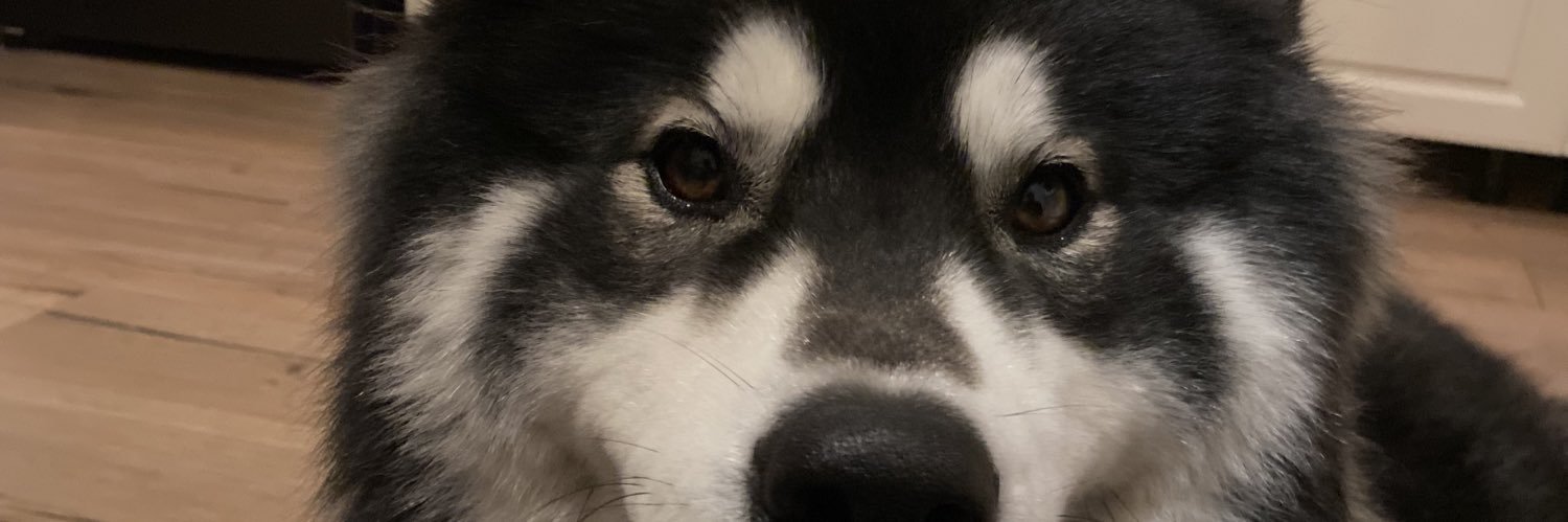 axdlle's profile banner image