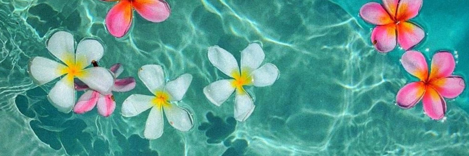 Clarabr971's profile banner image