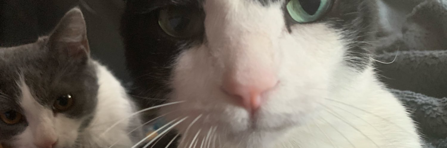 __hershey's profile banner image