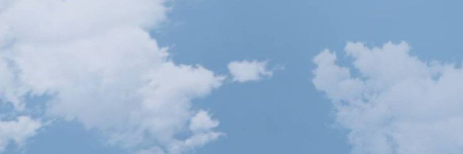 NazlErgen's profile banner image