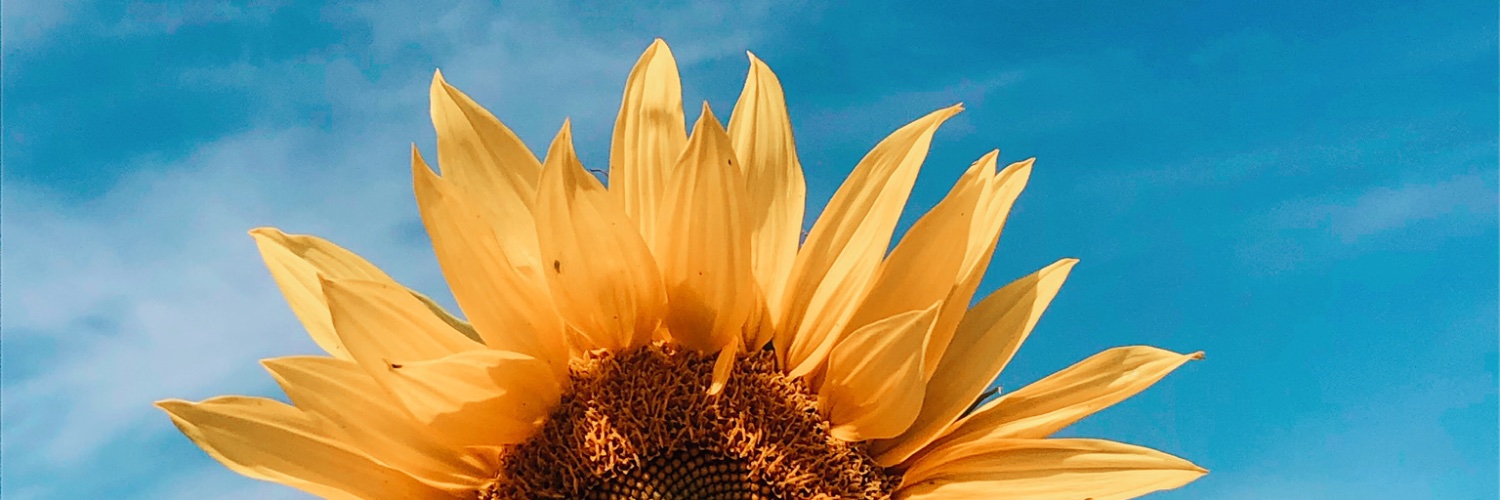 Jessica Campbell banner