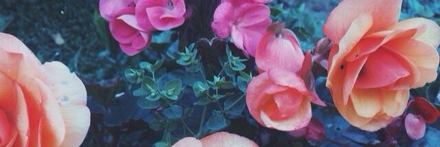 nevadagold_'s profile banner image