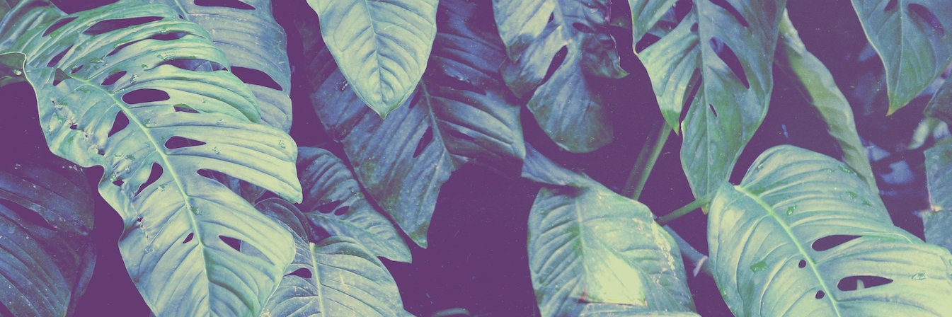 COVETPR's profile banner image