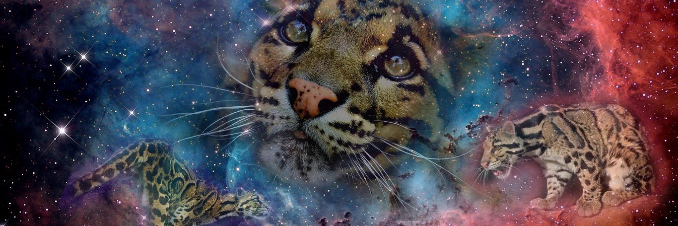 Pile of Pardus ΘΔ& banner