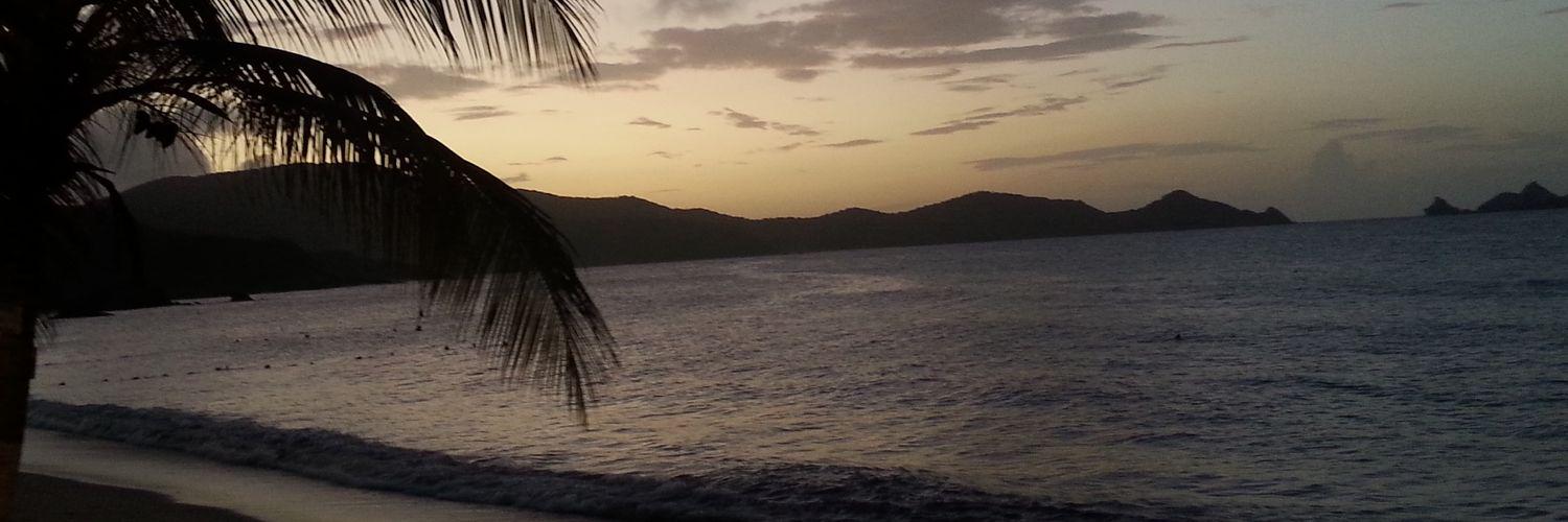 C14r_'s profile banner image