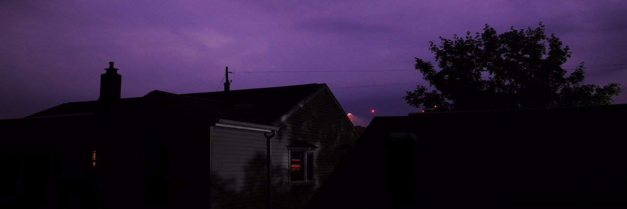 веточка калины banner