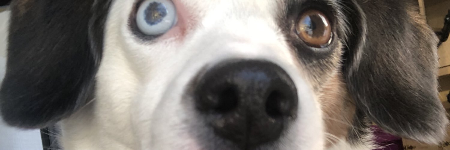 ryleemills's profile banner image