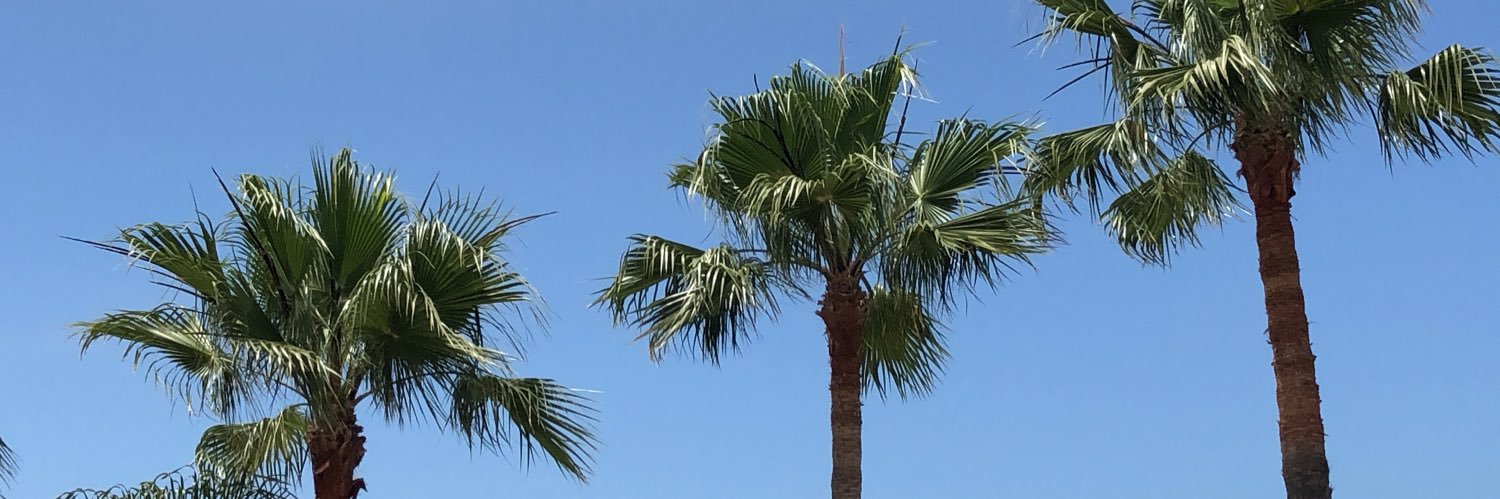 brittney10_'s profile banner image