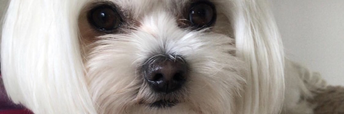 HunterKeeley's profile banner image