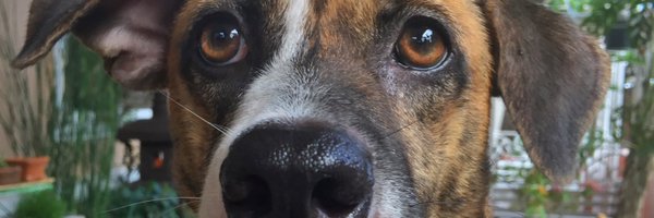 itsbanini Profile Banner