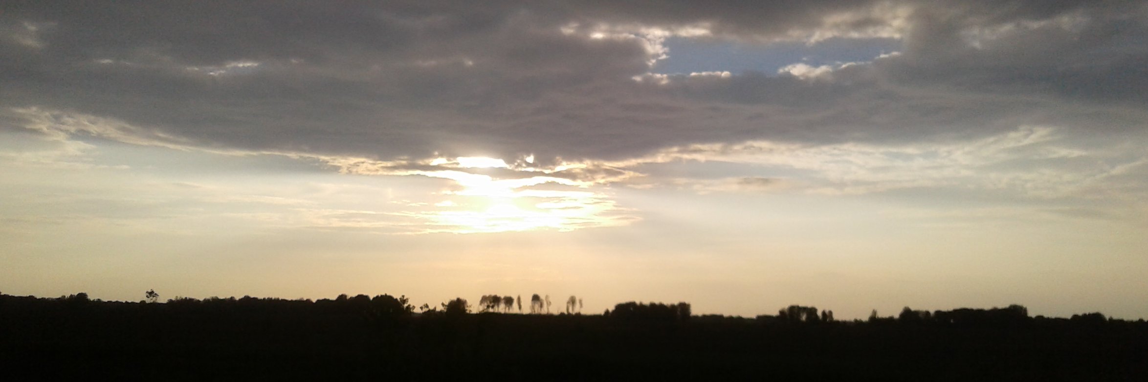 natalialad1's profile banner image
