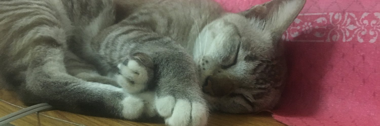 bbbeenbeen's profile banner image