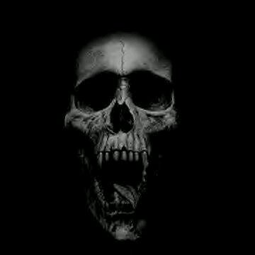 PARKIES_'s profile banner image