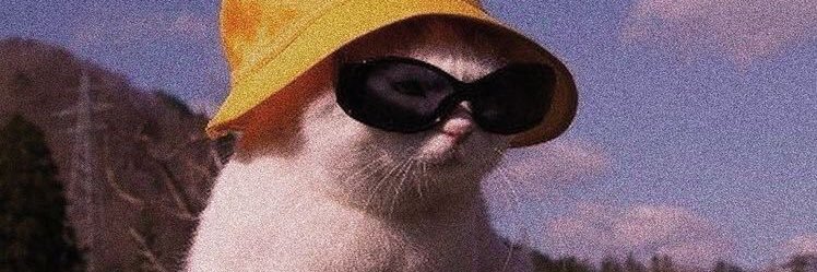 michaelamonroe_'s profile banner image