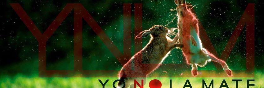 Yo No La Mate banner