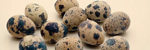 bu564564's profile banner image