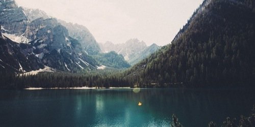 craftedquills's profile banner image