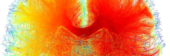 Chiara Maffei banner