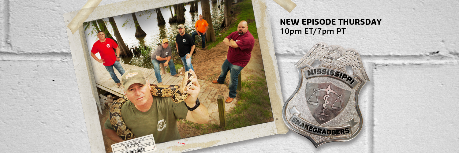 SnakeGrabbers's profile banner image