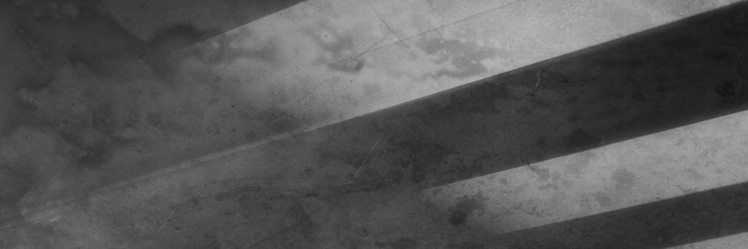 SigFoto's profile banner image