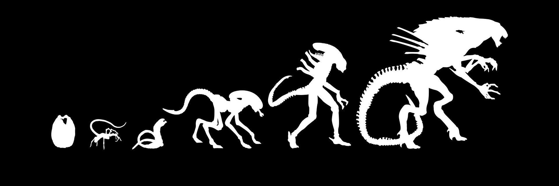 Micky66613's profile banner image
