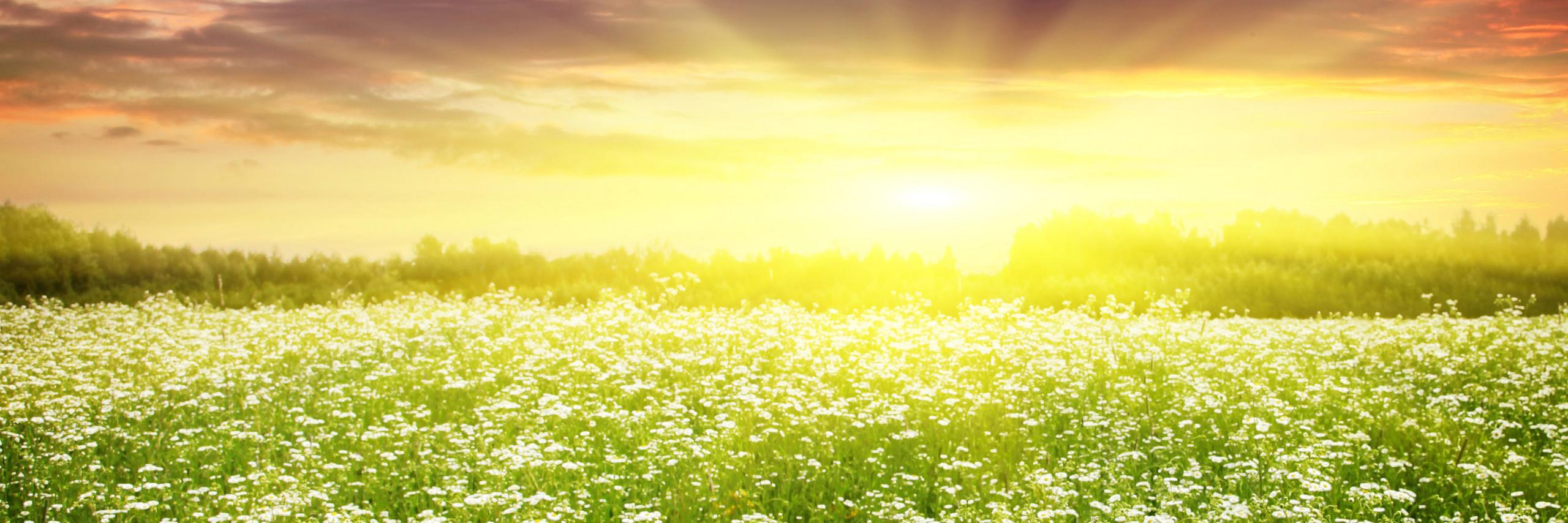 Alt Health Trends (@healtholizer) / Posts / X
