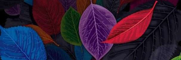 KutiAyo's profile banner image