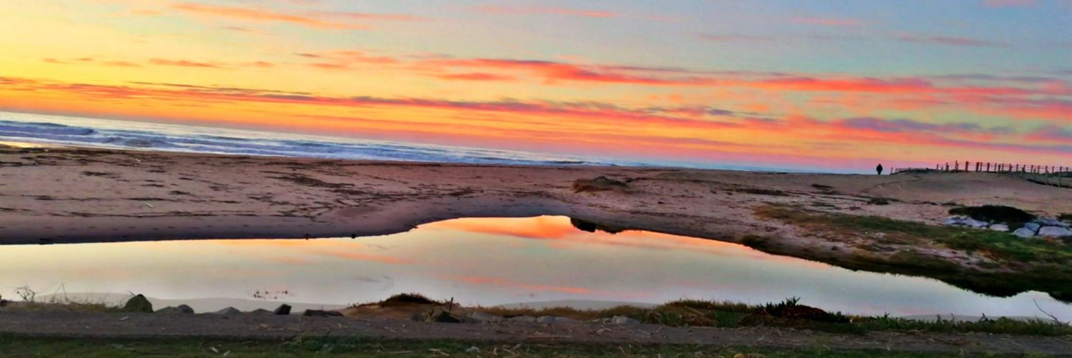 MariaJoaoCC_'s profile banner image
