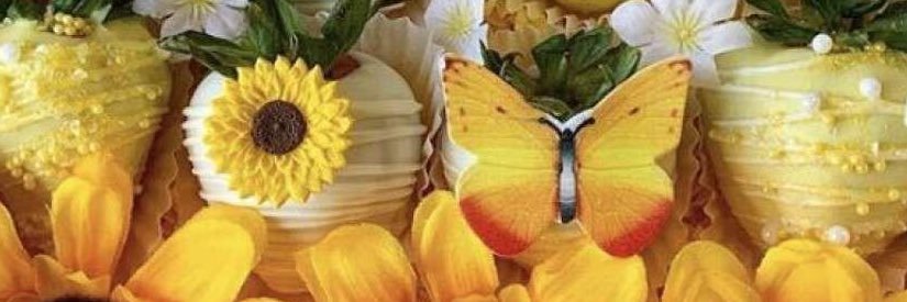 thecurvynerd's profile banner image