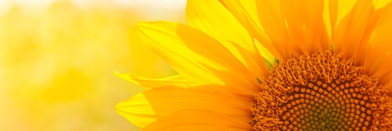 valevarevilla's profile banner image