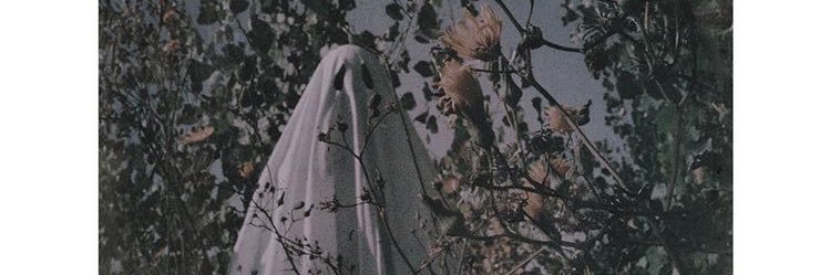Sincronicolor's profile banner image