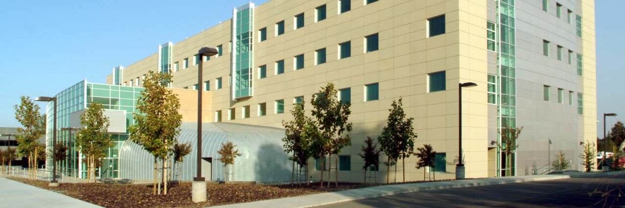 Becky Springmeyer banner