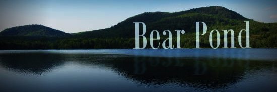 bearpondme's profile banner image