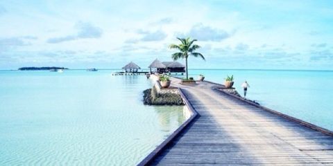 Chiara_fr1's profile banner image