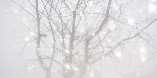 blakerpgpml's profile banner image